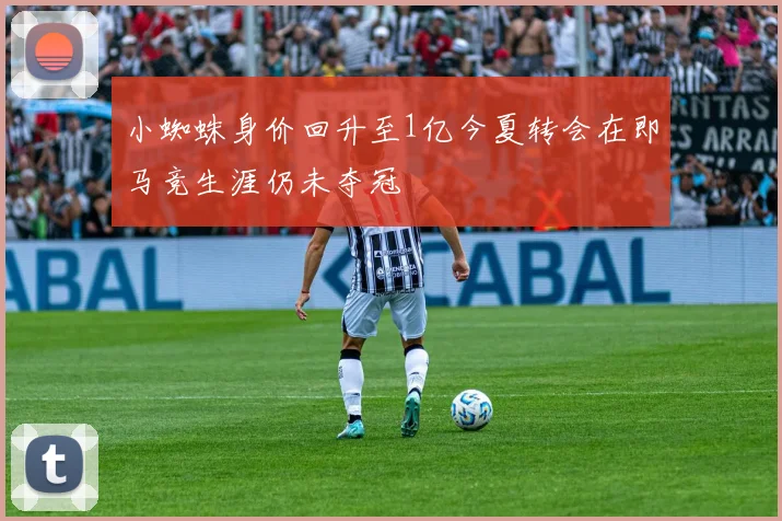 小蜘蛛身价回升至1亿今夏转会在即马竞生涯仍未夺冠