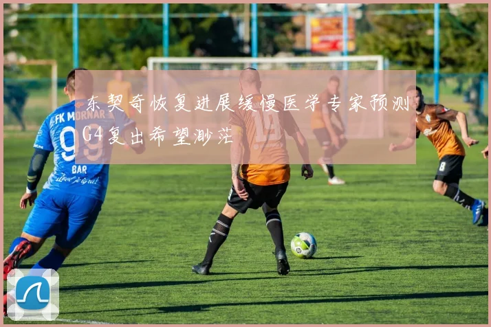 东契奇恢复进展缓慢医学专家预测G4复出希望渺茫