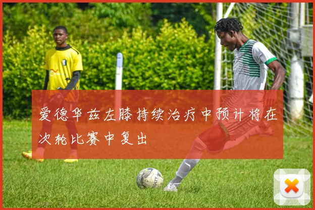 爱德华兹左膝持续治疗中预计将在次轮比赛中复出
