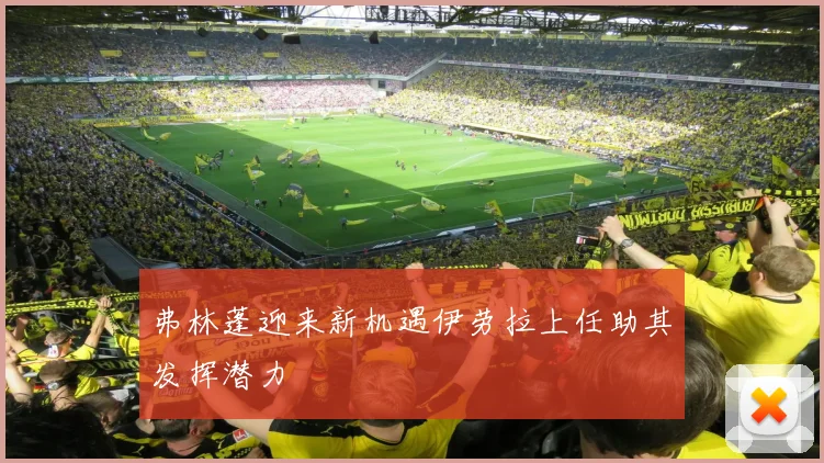 弗林蓬迎来新机遇伊劳拉上任助其发挥潜力